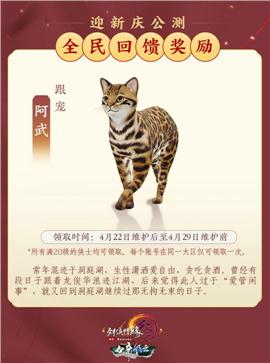 斗灵天龙八部私服